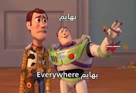 لما اشوف اندر ايدج مرتبطين