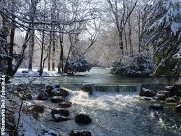 Parken Am Englischer Garten Mit Der Parkplatz App Ampido