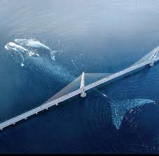 3 types of pulau pinang map. Jambatanpulaupinang Hashtag On Twitter