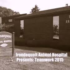 Maybe you would like to learn more about one of these? Rochester Hope For Pets Home Facebook