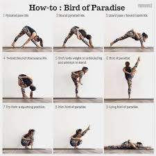 Tree Pose Yoga Vinyasa Yoga Bird Of Paradise Yoga Bird Of Paradise Pose