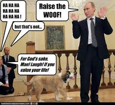 Meme about dog, putin, vladimir putin, picture related to vladimir, sending, looks and putin, and belongs to categories dogs, lookalike, memes, politics, silly, trolling, etc. Politics Political Memes