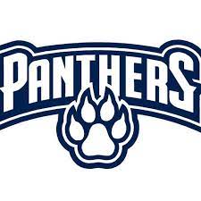 Drawing the carolina panthers logo. Panthers Logo Logo Design Contest 99designs