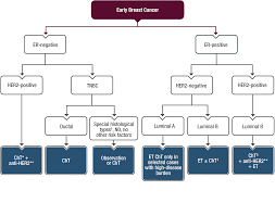 stage 4 breast cancer is an advanced stage of the disease, and the prognosis is not good. Https Www Esmo Org Content Download 284512 5623447 1 Clinical Practice Guidelines Slideset Early Breast Cancer Pdf