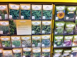 Maybe you would like to learn more about one of these? Growing Herbs From Seeds And Cuttings Advice From The Herb Lady