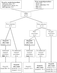 Flowchart Of Prior Patient Treatment Post Gks Modalities