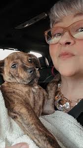 She is so cute nobody can ignore her cuteness 🥰