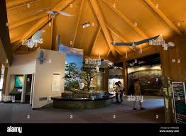 Ernest F. Coe Visitor Center in the Everglades National Park Stock Photo