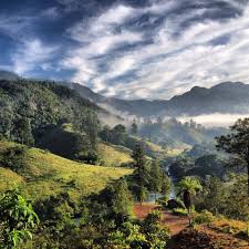 Landschaften tiere blumen architektur cartoons fuer kinder leute bildung filme spiele fahrzeuge essen sport kunst technik. View From Zephir Lodge In Lanquin Guatemala Guatemala Travel Guatemala Resorts Guatemala