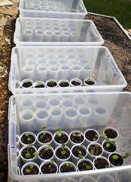 Idees Diy Pour Faire Germer Vos Graines Jardin Faire Germer Des Graines Jardinage De Legumes D Interieur Et Potager Domestique