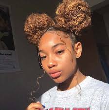 One of the best ways to protect your hair this winter is by wearing protective hairstyles. Protective Hairstyles For Black Women Double Buns Ecemella