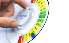 Daily Calorie Intake Calculation Tool Boost Your Body