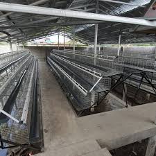 Seiring bertambahnya penduduka indonesia dari tahun ke tahun maka tingkat komsumsi telur juga ikut terpengaruh yang diperkirakan akan mencapai 1,7 ton ditahun. Peternak Ayam Petelur Tasikmalaya Beitrage Facebook