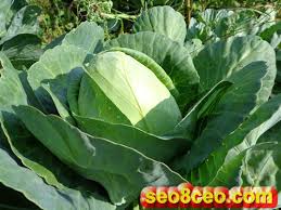 Forecast Jackpot Loto 6 45 2016 Forecasting 4 6 Lottery Syndicate 6 6 26824941 Jackpot Lottery Syndicate