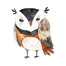 Glue them onto your owl body. Watercolor Funny Kids Illustration With Owl Hand Drawn Animal Drawing Owl Bird Painting Perfect Posters Maria Sem Allposters Com