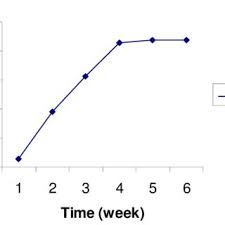 Image result for Vernonia schlechteri