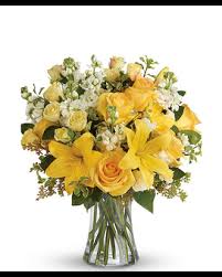 Tips advice blog titan tree care blog do palo verde trees make you Huisman Flowers Eastern Floral Lakeshore Nationwide Same Day Flower Delivery