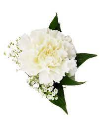 Maybe you would like to learn more about one of these? 9 Corsage Ideas Corsage Rose Of Sharon Wedding Flowers