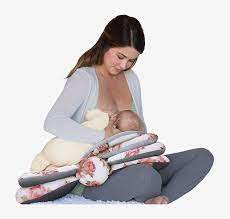 6 Best Nursing Pillows 2020 The Strategist