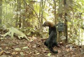 Deze schatting is gebaseerd op 1salarisrapport(en) voor production operator bij flowers foods. A Bun Baker S New Best Friend Lighter Side May 2011 Photonics Spectra