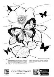 Colar Mix 3d Coloring App 3d Boyama Boyama Sayfalari 3d Kartlari