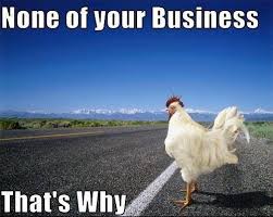 Pin By Libertarian Party Of Bossier P On Libertarian Memes Funny Animals Funny Animal Pictures Chicken Humor
