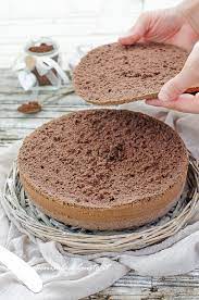 Dunque, quando sarà completamente freddo, sformatelo dalla teglia, tagliatelo a metà e farcite con la crema al mascarpone. Pan Di Spagna Al Cacao Facile Da Tagliare Per Torte Golosissime