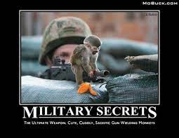 A collection of funny images and videos from around the internet. Funny Monkey Quotes And Sayings Quotesgram