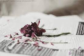 صور للتصميم اجمل خلفيات تصميم 2020 meat jerky