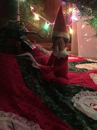 Elf On The Shelf Drinking Water From The Christmas Tree Elf On The Shelf Elf Holiday Decor