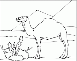 Tap here to see more. Desert Coloring Page Coloring Home