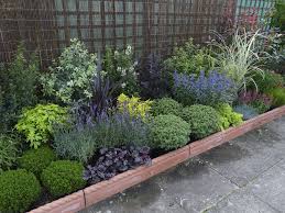 Border Evergreen Low Maintenance Front Yard Ideas Houses Perenial Garden Border Plants Shrubs For Landscaping Evergreen Plants