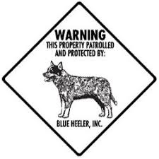 Black And White Blue Heeler Clipart Warning This Property Patrolled And Protected By Blue Heeler Inc Sign Blue Heeler Australian Cattle Dog Blue Heeler Heeler