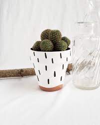 I have a bunch of small terracotta pots that are already planted with dirt/succulents that i want to decorate. Pin On Diy