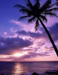 1015am flow with rotating instructors. Paradise Hot Yoga Eugene Oregon The Original 26 2 Hot Yoga