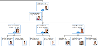 cool org chart tool on organimi chart tool chart film