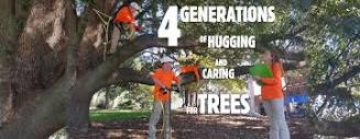 Raleigh Tree Service | Tree Removal Service Raleigh | Tree Cutting ...