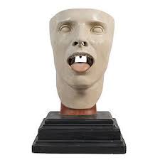 Josef Steger & Carl Bock, Anatomical Human Face Model