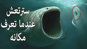 هل تتخيل أن الحوت الذى ابتلع سيدنا يونس حي حتي الان تعرف على الحقيقة كامله Neon Signs Lockscreen Blog Posts