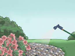 Mulch itself adds a decorative element mulch provides all of the same benefits to container flower gardens that it provides to plants in the ground. How To Apply Mulch 14 Steps With Pictures Wikihow