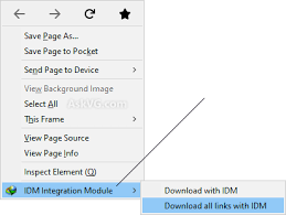 ~open idm and go to downloads>options tap after click on options you may see interface like this. Tip Show Hide Idm Integration Module Context Menu Options In Web Browsers Askvg