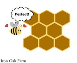 How Do Honeybees Make Comb Keeping Backyard Bees