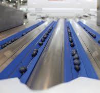 Optical Sorting Technology - USHBC