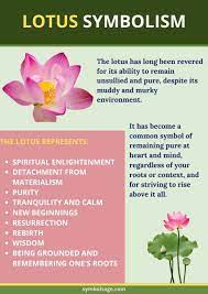 Lotus Flower Symbolism And Meaning Symbol Sage Lotus Symbol Lotus Flower Symbolism Symbolism And Meanings