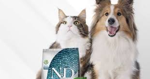 n d petihtiyac food animals pets dog food recipes