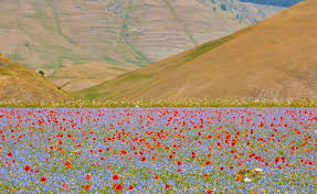Nem csak földrajzilag sokszínű, hanem a kultúrájuk is rendkívül érdekes! Olaszorszag 10 Legszebb Varosa Egynapos Kirandulasokra Blog Invia Hu