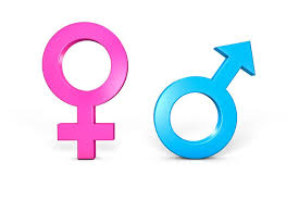 Image result for Sexual Development