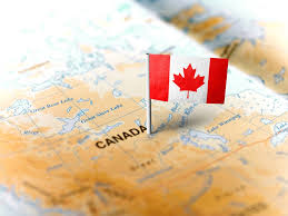 Immigration Consultant