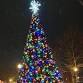 Marshall Tree Lighting Ceremony event image