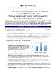 chief operations officer resume